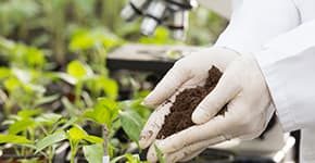 Agrochemical-Mega-290x150
